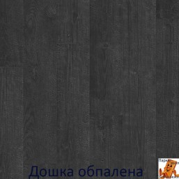Дуб чорна ніч Дуб чорна ніч