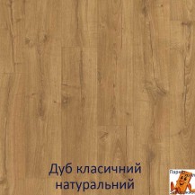 Дуб класичний