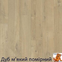 Дуб сірий теплий