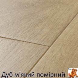 Дуб сірий теплий