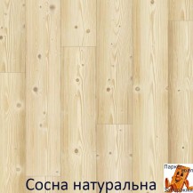 Сосна натуральна