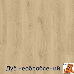 Дуб необроблень Дуб необроблень