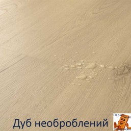 Дуб необроблень Дуб необроблень