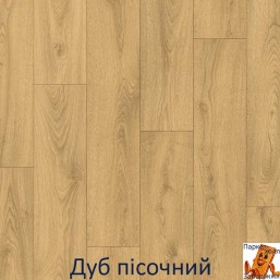 Дуб пісочний Дуб пісочний