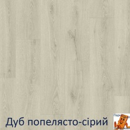 Дуб попелясто-сірий Дуб попелясто-сірий