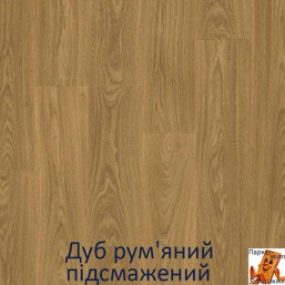 Дуб рум'яний піджарень Дуб рум'яний піджарень