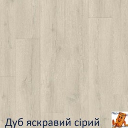 Дуб яскравий сірий Дуб яскравий сірий