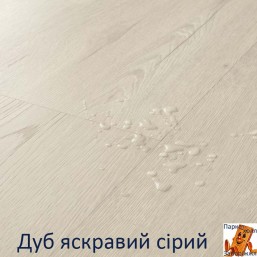 Дуб яскравий сірий Дуб яскравий сірий