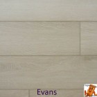 Evans 96195