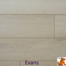 Evans 96195