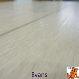 Evans 96195