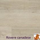 Rovere canadese 1104