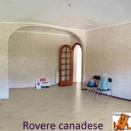 Rovere canadese 1104