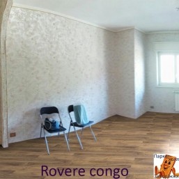 Rovere congo 1137