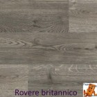 Rovere britannico 1138