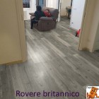 Rovere britannico 1138