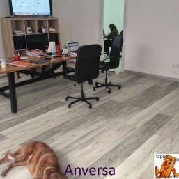 Anversa 1202