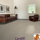 Cardiff 1209