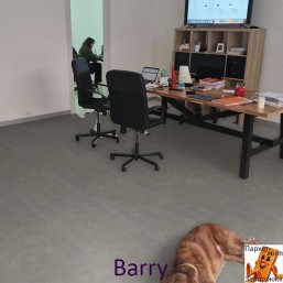 Barry 1223