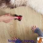 Nostalgic Honey 60001897