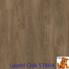 Laurel Oak 51864