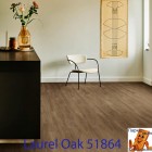 Laurel Oak 51864
