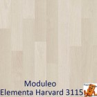 Elementa Harvard 3115