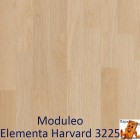 Elementa Harvard 3225