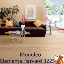 Elementa Harvard 3225