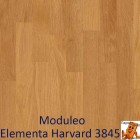 Elementa Harvard 3845