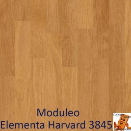 Elementa Harvard 3845