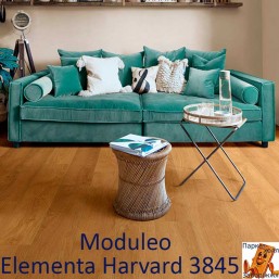 Elementa Harvard 3845