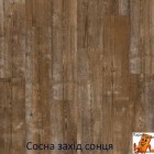Сосна захід сонця AVMPU40075