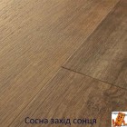Сосна захід сонця AVMPU40075