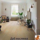 Дуб маслянка AVSPU40277