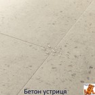 Бетон устриця AVMTU40275