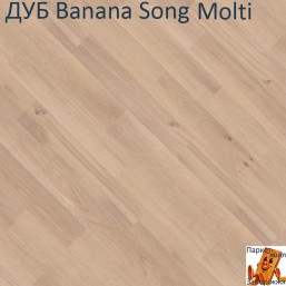 Дуб Banana Song Molti