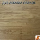 Дуб Askania Grande