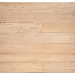 Гевея POWDER ETERNITY