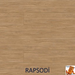 rapsodi