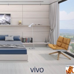 vivo