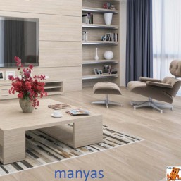 manyas