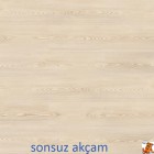 sonsuz akcam